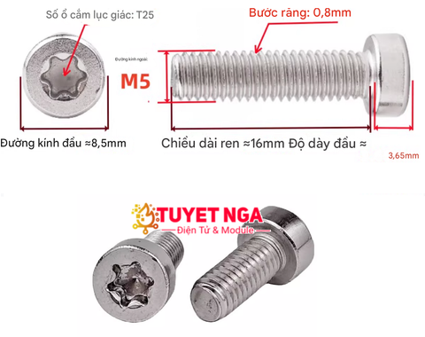 GB2671.1 M5x16 Bu Lông Ốc Hoa Mai M5 Dài 16mm Inox 304