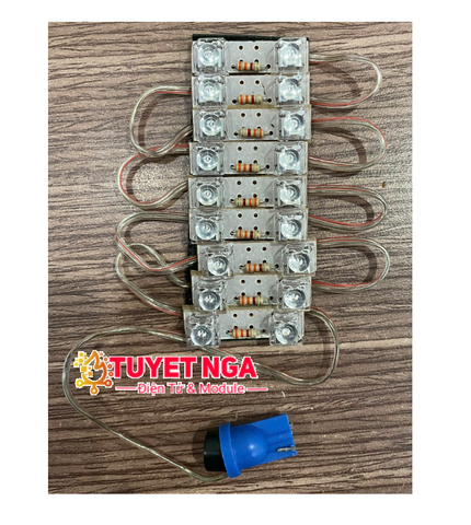 Module Led Nháy 12V Màu Dương