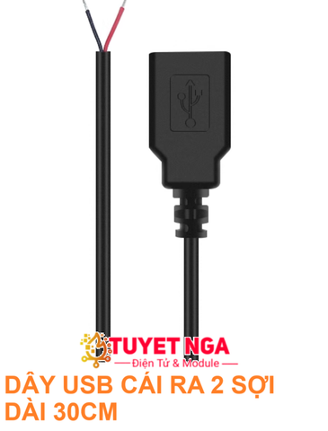 Dây Cáp USB Cái Ra 2 Sợi Dây Dài 30cm