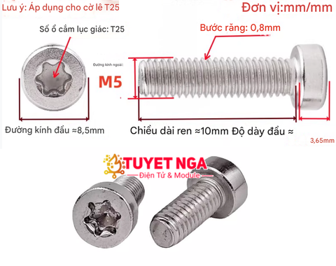 GB2671.1 M5x10 Bu Lông Ốc Hoa Mai M5 Dài 10mm Inox 304