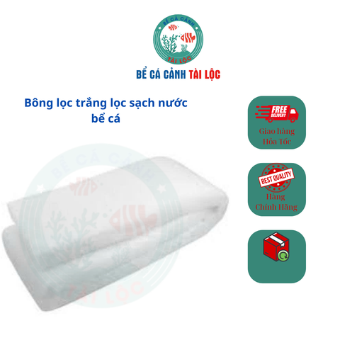 Bông lọc trắng lọc sạch nước bể cá