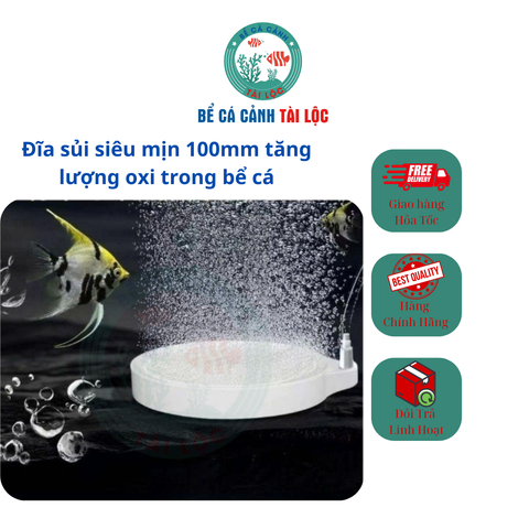 Đĩa sủi oxi nano 100mm