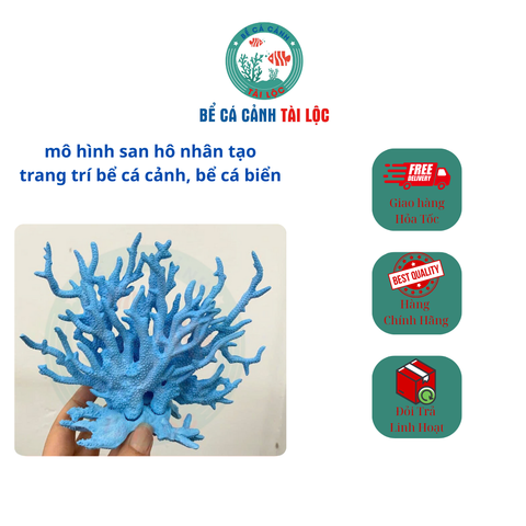 Mô hình san hô nhân tạo