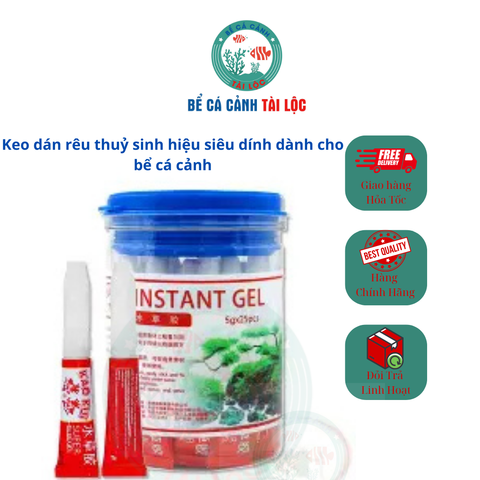 Keo dán rêu thuỷ sinh cho bể cá cảnh