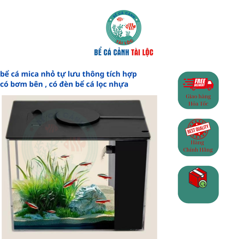 bể cá mica nhỏ  tích hợp có bơm và đèn