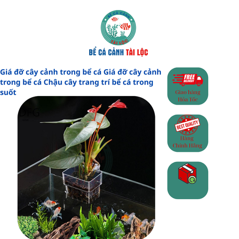 Giá đỡ cây cảnh trong bể cá