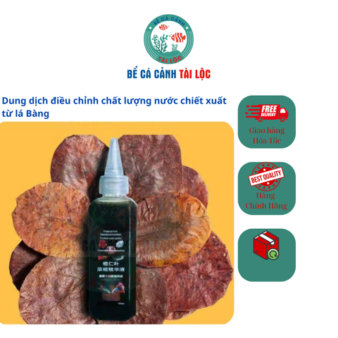 Dung dịch điều chỉnh chất lượng nước chiết xuất từ lá Bàng