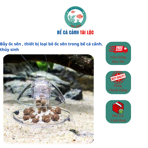 Bẫy ốc sên cho bể cá cảnh, bể thủy sinh