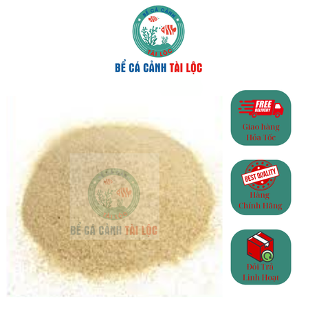 Cát Nắng Vàng Trải Nền Bể Cá
