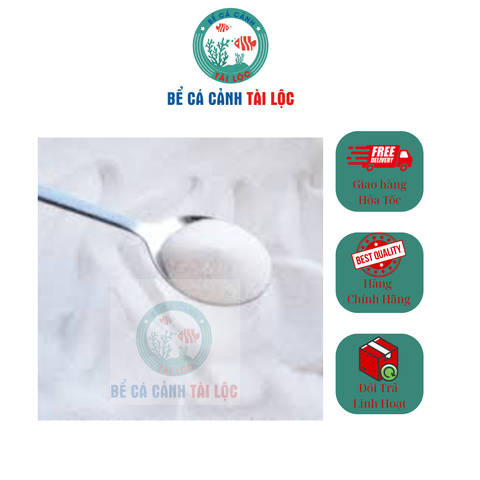 Cát trắng mịn trải nền bể cá cảnh