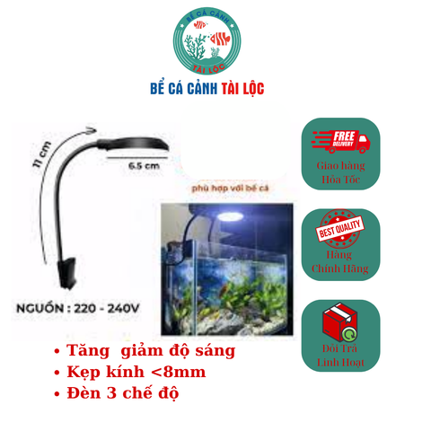 Đèn 360 độ