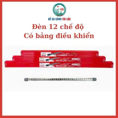 Đèn 12 chế độ màu AW 55