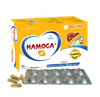  HAMOGA 