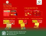 Bánh Trung Thu Yến Sào Khánh Hòa - Combo Hộp 2 Bánh H2/200 1C1D