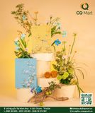 Bánh Trung Thu Brodard 2025 - Hội Hoa Thu 2