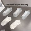 Set 5 đôi tất cổ ngắn C. / MÀU SÁNG NGẪU NHIÊN ( R35 )