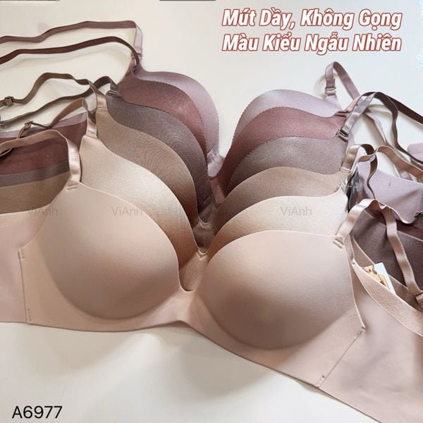 Áo lót su liền mút dầy không gọng style Âu Mỹ ( kiểu ngẫu nhiên)