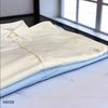 Áo sơmi A27 xuất Hàn A6027  / FreeSize / XANH NHẠT