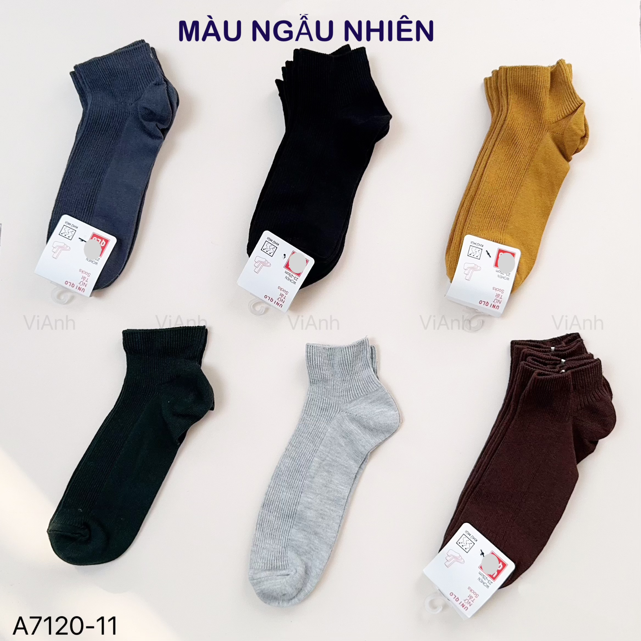 SET 6 Tất cổ thấp Uni mỏng / 2-3 MÀU / KIỂU