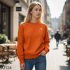Áo sweater nỉ style US UK / T24 cam , T26 xanh than , T27 nâu nhạt , T29 xám , T30 đỏ mận