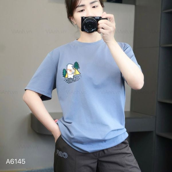 Áo thun A45 phom suông in thêu gấu style Hàn A6145 / XÁM XANH