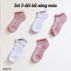 SET 5 đôi tất FI-LA S75 / SÁNG MÀU  - MÀU NGẪU NHIÊN