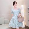 Đầm C921 Váy A4736 / XANH HOA