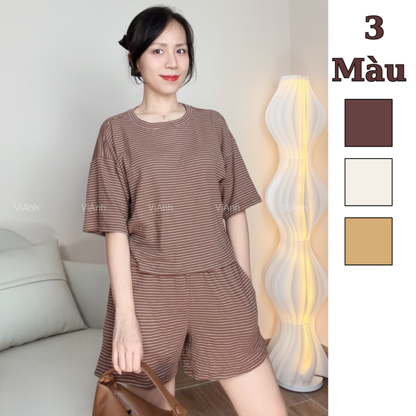 Bộ đùi ngắn tay Double T kẻ ngang / D143 D144 D145