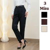 Quần nữ Âu dài Z / D480 D481 D482