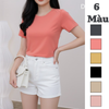 Áo thun ngắn tay cổ tròn style Nhật / D204 D205 D206 D207 D217