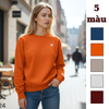 Áo sweater nỉ style US UK / T24 cam , T26 xanh than , T27 nâu nhạt , T29 xám , T30 đỏ mận