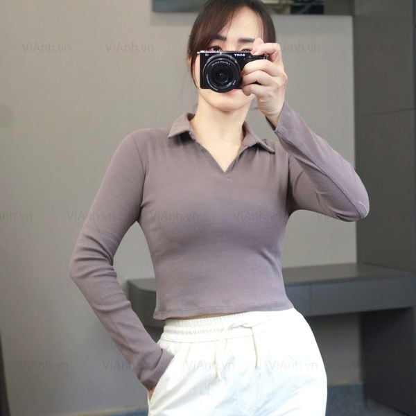 Áo thun D64 gân dài tay cổ polo style Âu A6164 / NÂU