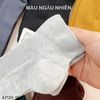 SET 6 Tất cổ thấp Uni mỏng / 2-3 MÀU / KIỂU