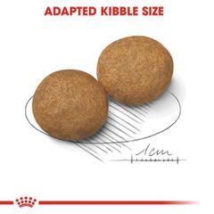 Hạt Royal Canin Medium Puppy 16Kg