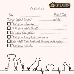 Thiên sứ Mèo đực