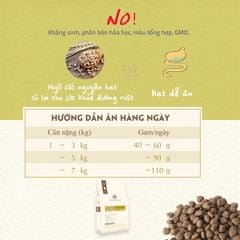 Hạt Natural Core C3 Bene 3012 cho mèo thịt gà và cá hồi 10kg
