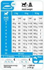 Hạt Royal Canin Mini Starter Mother & Babydog 8kg