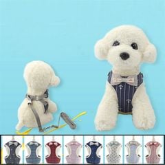 Set đeo ngực kiểu áo vest Hàn Quốc