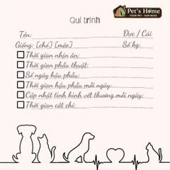 Thiên sứ Mèo đực