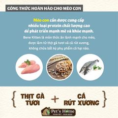 Hạt Natural Core C1 Kitten cho mèo con 5kg