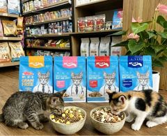 Hạt cho mèo Mr Vet Holistic 1kg