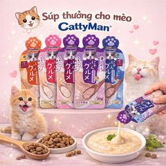 Súp thưởng mix vị Cattyman 60g