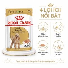 Pate Royal Canin cho Poodle 85g
