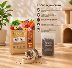 Hạt ANF Cat 6 Free Indoor 1,6kg