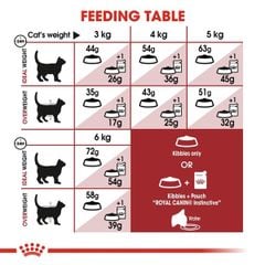 Hạt mèo Royal Canin Fit32 4kg