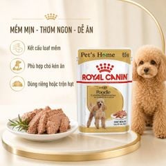 Pate Royal Canin cho Poodle 85g