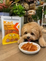 Thanh gà sấy mềm Karl 118g