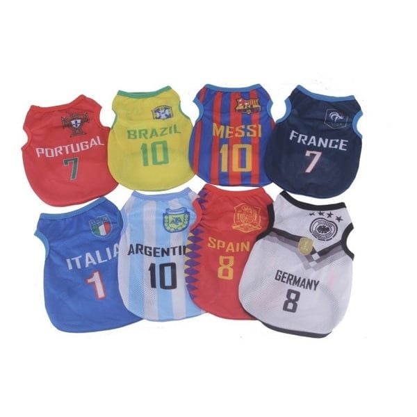 Áo World Cup