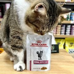 Pate Royal Canin Renal with Fish Feline 85g
