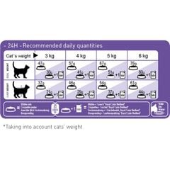 Hạt Royal Canin Sterilised cho mèo triệt sản 400g